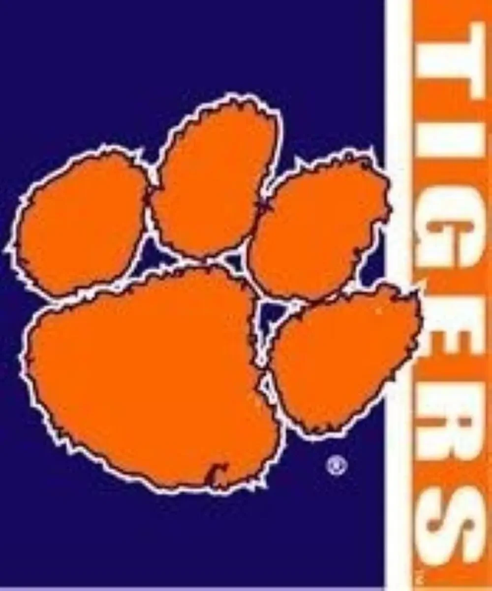 Clemson Tigers 50x60 inches Royal Plush Raschel Throw Blanket